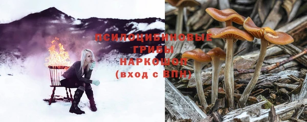 СК Краснотурьинск