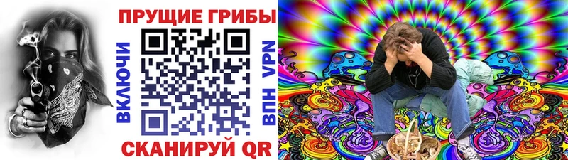 Псилоцибиновые грибы Psilocybe  наркота  Яранск 